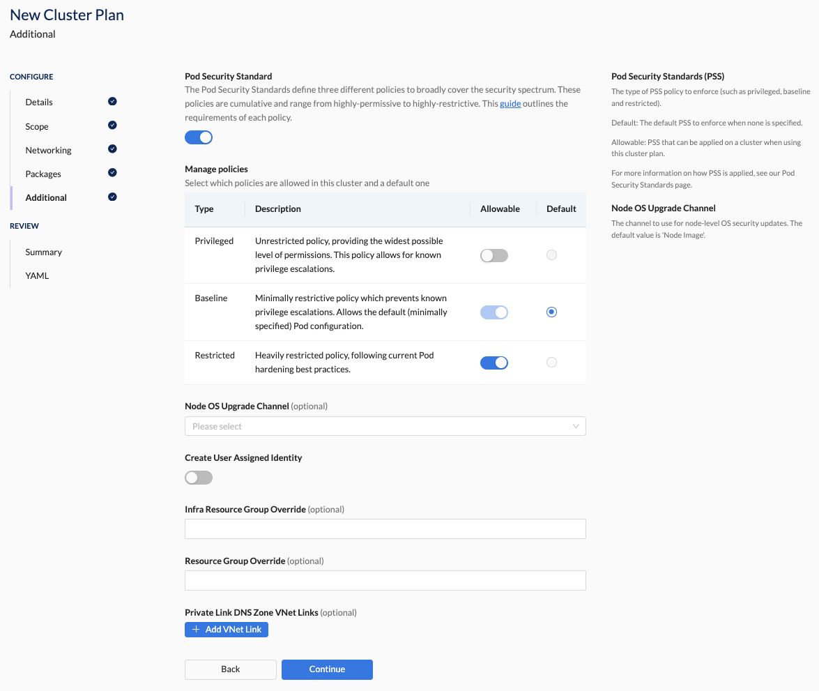 Create Cluster Plan - Additional Azure Settings Section