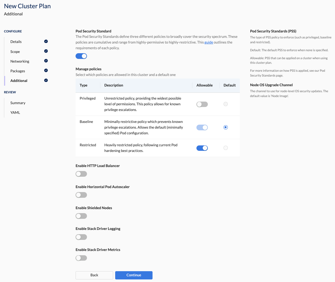 Create Cluster Plan - Additional GCP Settings Section